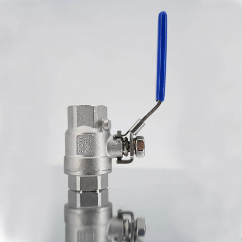 ZGTMF 3/4in 304 stainless steel full-port ball valve with blue vinyl handle, NPT female x female