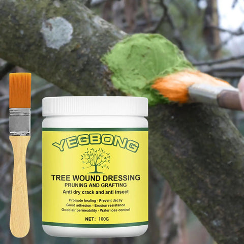 Pro Grade Bonsai Cut Paste Pruning Sealant With Brush For Tree Wound Repair And Grafting, Portable Wound Filler For Shrubs And Fruit Trees, Rain Resistant And Easy To Apply, 100g jar