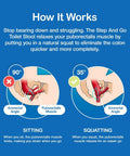 Infographic comparing sitting and squatting positions showing muscle relaxation with a 7 Inch Toilet Stool For Squatting To Make Pooping Easier
