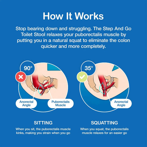 Infographic comparing sitting and squatting positions showing muscle relaxation with a 7 Inch Toilet Stool For Squatting To Make Pooping Easier