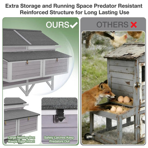 Comparison of reinforced wooden chicken coop with nesting boxes and safety latches vs wooden coop vulnerable to predators