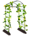 Heavy Duty Garden Arch Trellis for Climbing Plants with cucumbers on 6.7Ft tall steel arbor and nylon netting, weatherproof frame.