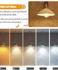 Light color comparison of LED bulbs at 2200K, 2700K, 3000K, 4000K, and 5000K, highlighting 16 Pack Vintage LED Edison Bulbs 40W Equivalent.
