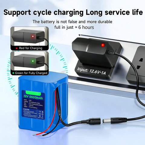 12V 5600mAh Lithium Battery With Charger And Bare Leads For DIY Projects, charging indicators shown on charger
