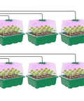 Elevated Seed Starter Kit With Grow Light And Adjustable Humidity Dome, 6 pack trays with seedlings under LED lights