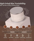 Daily Brew Game Changer Electric Conical Burr Coffee Grinder Single Dose Mill with grind size control and brewing guide.