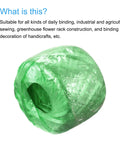Green Polyester Nylon Rope Twine 2 Pack Heavy Duty Binding Rope Do It All For Packing Gardening DIY Crafts 300 M Total Length