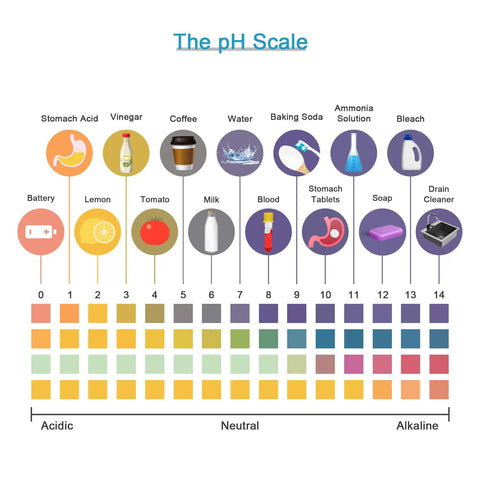 Illustration of pH scale from 0 to 14 with common items and their pH levels for All Purpose pH Test Strips 0 To 14, 100 Count Universal Litmus Paper For Drinking Water, Food, Pools, Aquariums, Saliva, Urine And Lab Monitoring, Easy Color Change