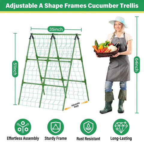 Two Pack Garden Trellis For Raised Beds 51 By 35 Inches Heavy Duty Adjustable A Frame Climbing Net For Cucumber Tomatoes Peas Beans Squash Grapes