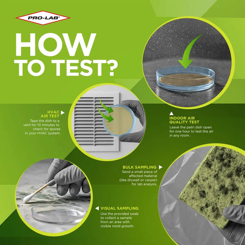 Diagram showing steps for DIY Home Mold Test Kit For Air Quality With Fast 48 Hour Results, featuring air and surface testing.