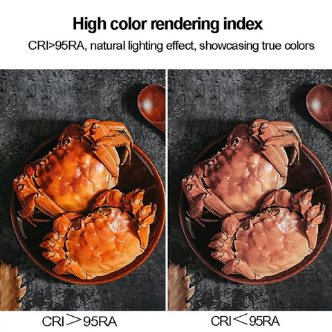 ELUKHT 4 Pack Led Downlight 3/4 Inch Round Recessed Lighting, Baffle Trim showcasing crabs under high color rendering index.