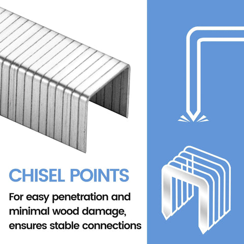 Top Shelf Heavy Duty T50 Staples For Staple Gun Quarter Inch Long Galvanized Steel Twenty Gauge Three Eighths Crown Five Thousand Pack Knockout showing chisel points design.