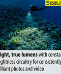 Diver using Sea Dragon 3000SF Pro Dual Beam Compact Underwater LED Light illuminating reef.