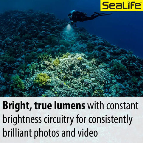Diver using Sea Dragon 3000SF Pro Dual Beam Compact Underwater LED Light illuminating reef.