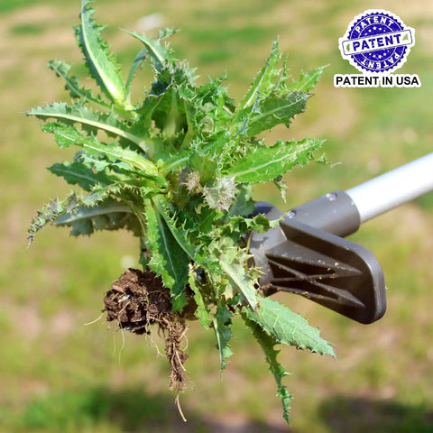 Upgraded Stand Up Weed Puller With 38 Inch Long Handle Five Claw Root Puller For Dandelions Back Friendly Weeding Tool uprooting weed