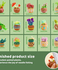 Beginner Needle Felting Kit With Succulent Designs, 15 Piece Set Including Wool Roving, Foam Mat, Felted succulent samples
