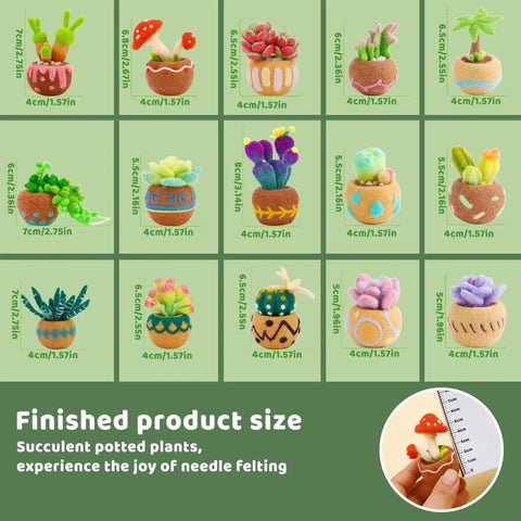 Beginner Needle Felting Kit With Succulent Designs, 15 Piece Set Including Wool Roving, Foam Mat, Felted succulent samples