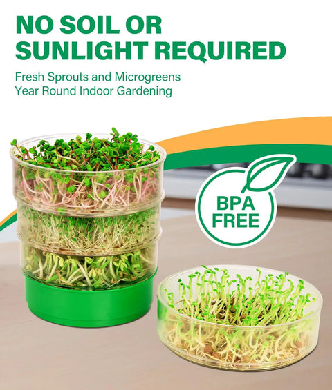 Stackable Seed Sprouting Kit With Four Clear Trays Holes And Tray Soil Free Microgreens Sprouter For Beans Alfalfa And Fresh Organic Sprouts At Home For Easy Home Grows showing sprouts growing.