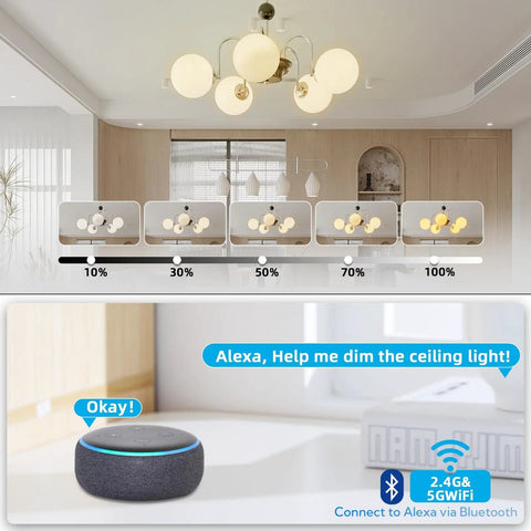 Smart Dimmer Kit With Two Remotes And One Receiver, Alexa Compatible Wireless Wall Switch, dimmable ceiling pendant lamp lighting