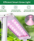 Smart Indoor Hydroponic Garden System Kit With Trellis And LED Grow Light showing efficient smart grow light setup.