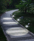 Ultra Bright Solar Spotlight 2 Pack with All Weather Waterproof Design casting light on a driveway at night