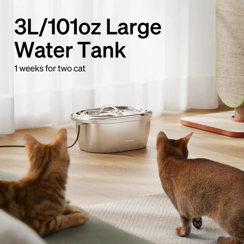 Stainless Steel Cat Water Fountain 3L Auto Dispenser BPA-Free Rust-Resistant and Dishwasher Safe 101oz Pet Drinking Fountain for Cats