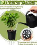 Watering plant in black container from 100 Piece Seedling Pots Set With 4 Inch Propagation Containers And Drainage Holes For Indoor Outdoor Gardening Starter Pots For Balcony Backyard Greenhouse And Home Garden