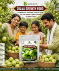 Guava Growth Food Organic Fertilizer For Fast Growth And Heavy Fruiting 200 G With Nitrogen Phosphorus Potassium And Microorganisms For Big Yields In Your Home Garden in zip pouch
