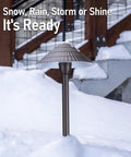 12-Pack Low Voltage Landscape Path Lights, 3W Cast Aluminum, 12-24V, IP65, ETL Listed, Oil Rubbed Bronze in snow