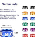 Dope Multicolor Aluminum Bird Leg Rings Pack For Training And Identification, Lightweight Yet Durable Bird Bands dimension view.