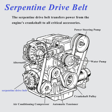 Super Smooth Serpentine Drive Belt For Honda Accord Fits 2008 To 2012 Models Replaces K070721 And 56992R40A01 detailed engine diagram.