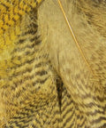 Mallard Flank Feathers Woodduck Tan For Fly Tying Wings Natural Mottled Pattern Soft Movement And Durable Material Pro Grade Dry Flies Wet Flies And Realistic Wing Tips In Your Tying Kit