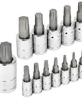 Torx Plus 13-Piece Bit Socket Set with 6 Lobe TP-8 IP-8 Through TP-60 IP-60, S2 Steel Bits and CrV Sockets displayed