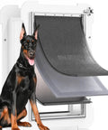 Tough Grade Aluminum Wall Mount Dog Door For Extra Large Dogs And Working Breeds Up To Two Hundred Twenty Pounds Featuring Cozy Flap and Nifty Sliding Lock Panel For Brick Homes with a Doberman nearby.
