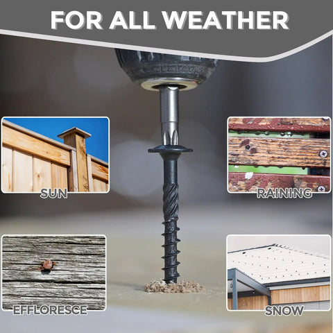 Heavy Duty 14X6 Inch Wood Screws 50 Pack TStar Drive shown drilling into wood, illustrating all-weather capability.