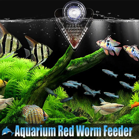 Acrylic V Shape Conical Aquarium Fish Feeder Cup For Live Red Worms Bloodworms And Brine Shrimp Eggs With Heavy Duty Suction Base, mounted in a tank.