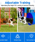 Two dogs using the All In One Backyard Dog Agility Course For Active Pups With Adjustable High Jump Weave Poles Tunnel.