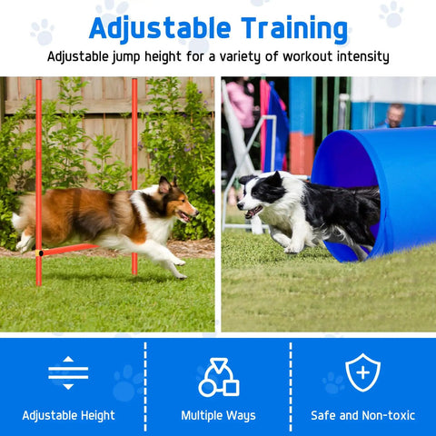 Two dogs using the All In One Backyard Dog Agility Course For Active Pups With Adjustable High Jump Weave Poles Tunnel.