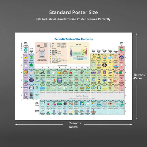Periodic Table Of Elements Poster Laminated 18 By 24 Inch 2 Pack Study Buddy for Classrooms and Home on display with dimensions.