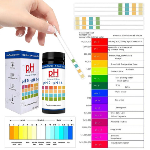 Hand holding Easy Read pH Test Strips For Urine, Saliva, And Water 0 To 14 Universal Plastic Strips with color chart