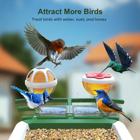 Solar Powered Bird Feeder With Camera For Outdoor Use AI Recognition And Real Time Alerts Wireless Bird House with fruit compartments, birds around feeder.