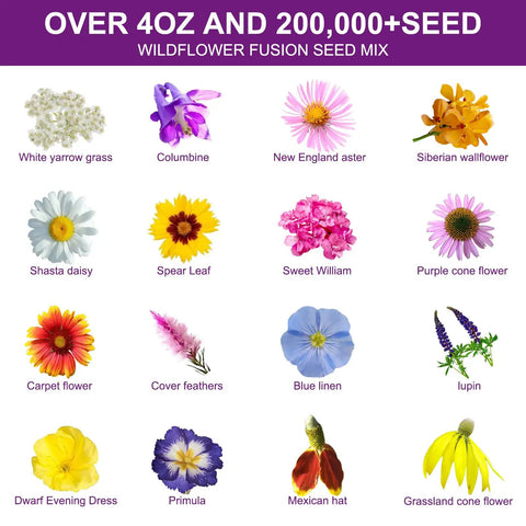 Wildflower Seed Mix For Pollinator Gardens: 16 Heirloom Perennial Varieties With Over 200,000 Seeds In A 4oz Pack, A Real Pollinator Party For Bees, Butterflies, And Birds, High Germination For Indoor Or Outdoor Planting