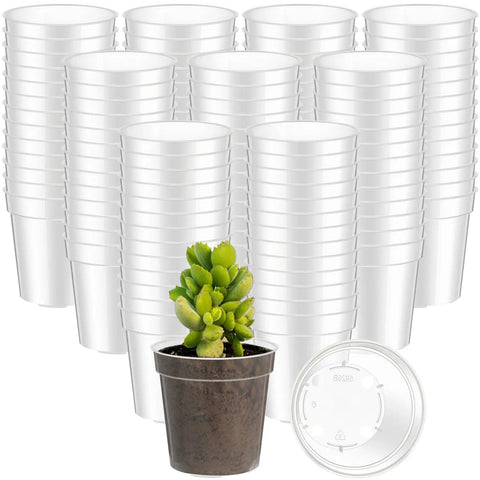 2 inch pots for succulents Clear 2 Inch Mini Plastic Plant Pots 200 Pack ✓