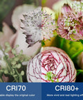 Comparison of flower colors under CRI70 and CRI80+ lighting, illustrating more vivid colors with CRI80+ on right side