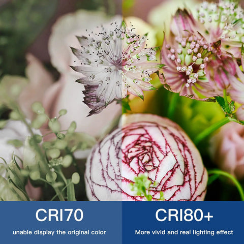 Comparison of flower colors under CRI70 and CRI80+ lighting, illustrating more vivid colors with CRI80+ on right side