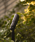 Close-up of 8 Pack Low Voltage Landscape Lighting Kit That Lights Up Your Yard, 3W LED Bulbs among garden foliage