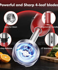 Heavy Duty Immersion Blender Handheld 20 Speed 5 In 1 Kitchen Mixer with 8" stainless steel body and sharp 4-leaf blades.