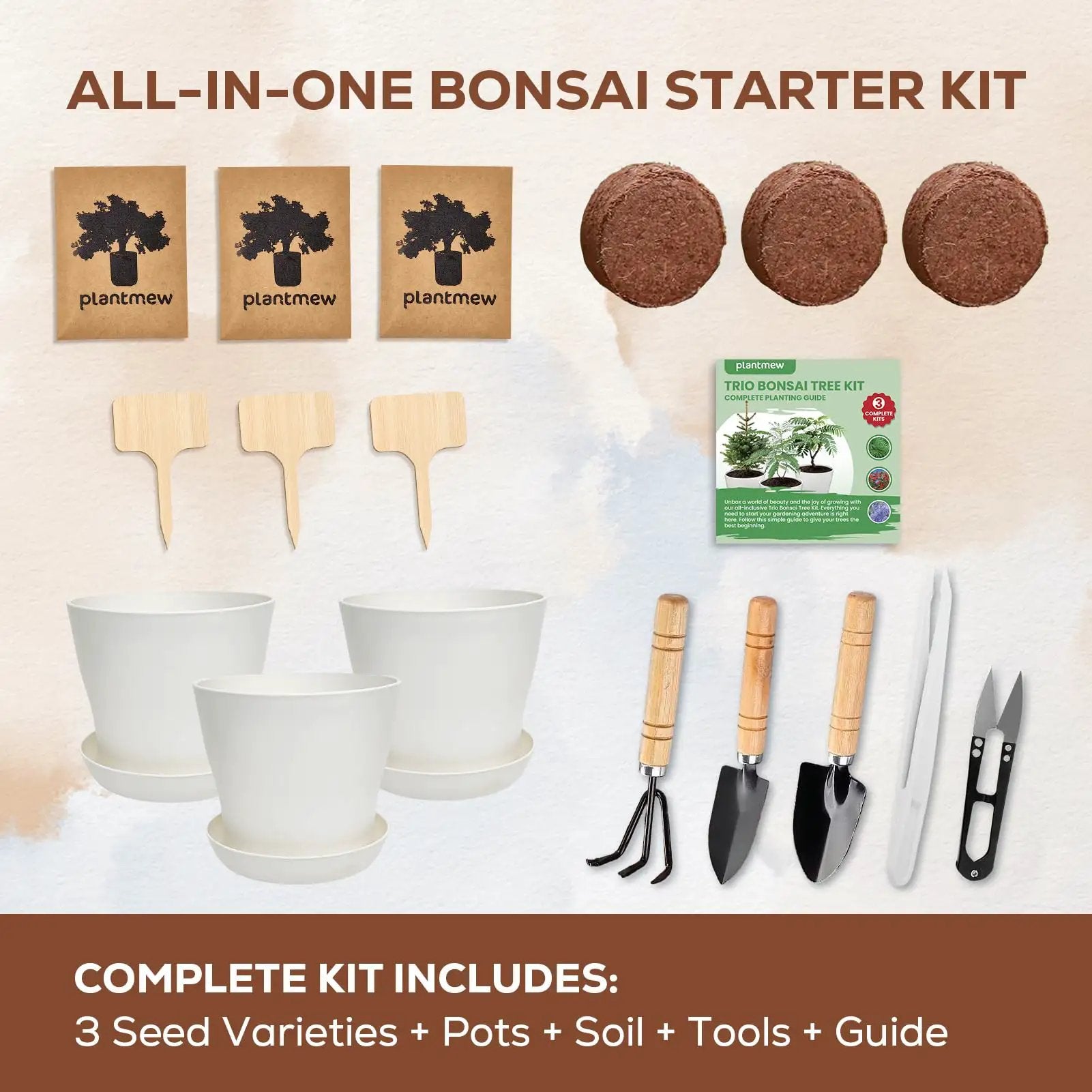 Three Bonsai Kits In One Box Starter Set ✓