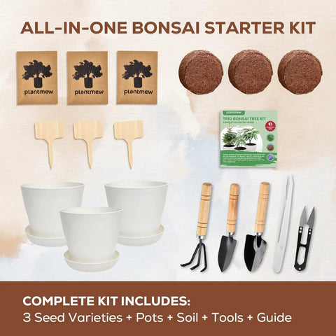 Three Bonsai Kits In One Box Beginners Indoor Growing Starter Set with tools, pots, soil, markers, and guide shown