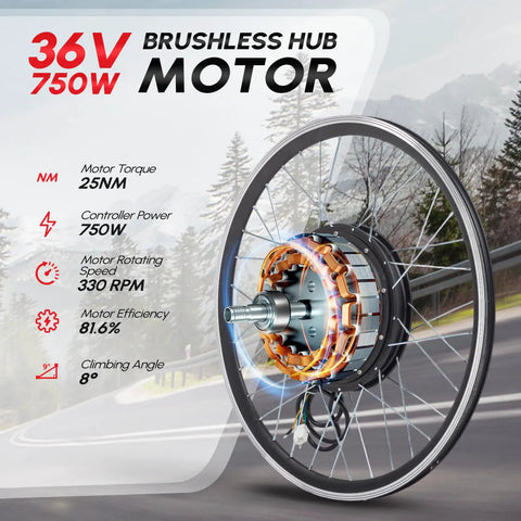 Beefy 750W Front Wheel Ebike Conversion Kit With 36V System, 20 Inch Wheel, PAS LCD Display, Controller, Brake Lever, Torque Arm For Fast, Smooth Rides And Easy DIY E Bike Upgrade brushless hub motor wheel
